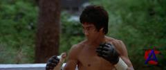   / Enter the Dragon