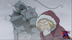  :  / Fullmetal Alchemist Brotherhood