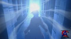  :  / Fullmetal Alchemist Brotherhood