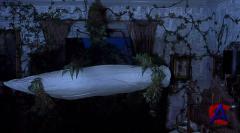    2 / Scary Movie 2