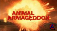 ANIMAL -   / Animal Planet: Animal Armageddon [HD]