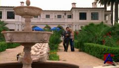   / The O.C. (3 )