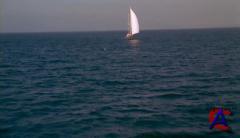   / The O.C. (3 )