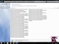 Windows 7 BlackShine 2010.9 Enterprise (x86) []