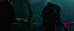   :  /Aliens vs. Predator Requiem