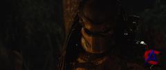  / Predators [HD]