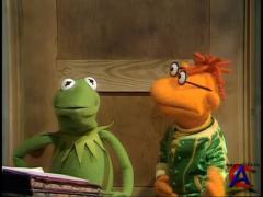 - / The Muppet Show