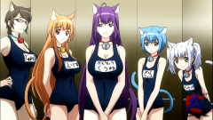    / Asobi ni Iku yo!