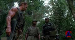  / Predator