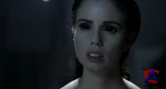 30  :   / 30 Days of Night: Dark Days