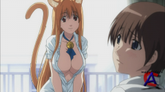     / Asobi ni Iku yo!