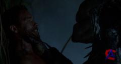  / Predator