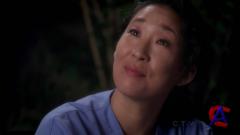   / Greys Anatomy (7 )