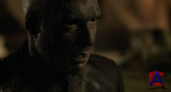 30  :   / 30 Days of Night: Dark Days
