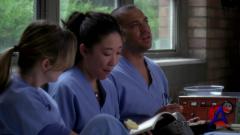   / Greys Anatomy (7 )