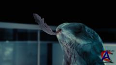  / Splice