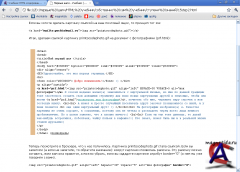  HTML 