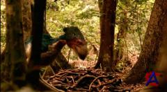 BBC:     / Walking with Prehistoric Beasts