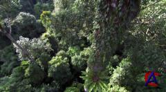 BBC:   / Planet Earth