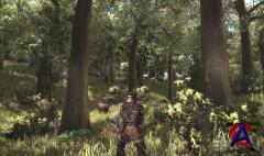 Gothic IV: Arcania / ������ 4: �������