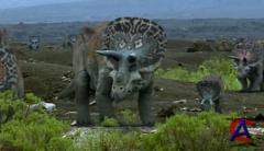 BBC:   / Prehistoric Park