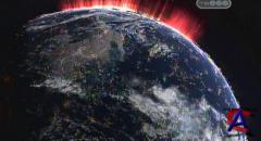 ANIMAL -   / Animal Planet: Animal Armageddon