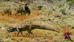 BBC:    / BBC: Walking with Dinosaurs