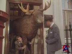    / Jeeves and Wooster (1 )