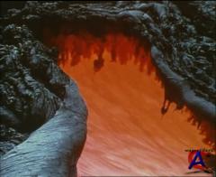BBC:   / Living Planet, The