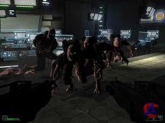 Area 51