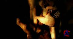 Enigma - Seven Lives Many Faces