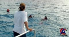   / Open Water [HD]