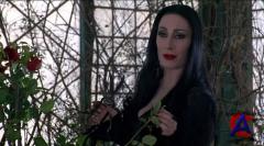   / Addams Family, The