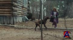   / Winters Bone