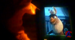   3 / Open Season 3