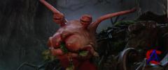   / The NeverEnding Story / Die unendliche Geschichte