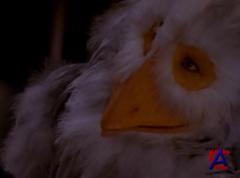   2:   / The Neverending Story II: The Next Chapter
