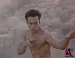  5:  / Kickboxer 5