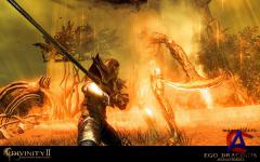 Divinity 2 The Dragon Knight Saga