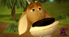   3 / Open Season 3
