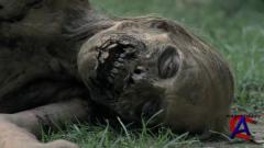   / The Walking Dead (1 )