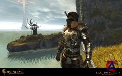 Divinity 2 The Dragon Knight Saga