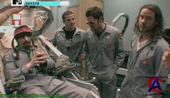  / Wildboyz (2 )