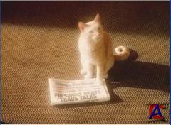    / Early Edition (1-4 )