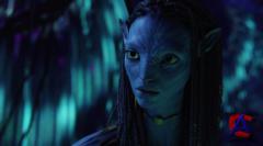  / Avatar