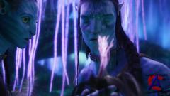  [. ] / Avatar [EXTENDED] [HD]