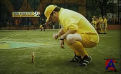   2 / Stuart Little 2