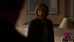   (8 ) / X-Files, The (Season 8)