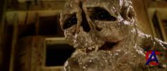  4:  / Alien: Resurrection [Special Edition]