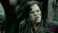   / Walking Dead, The []